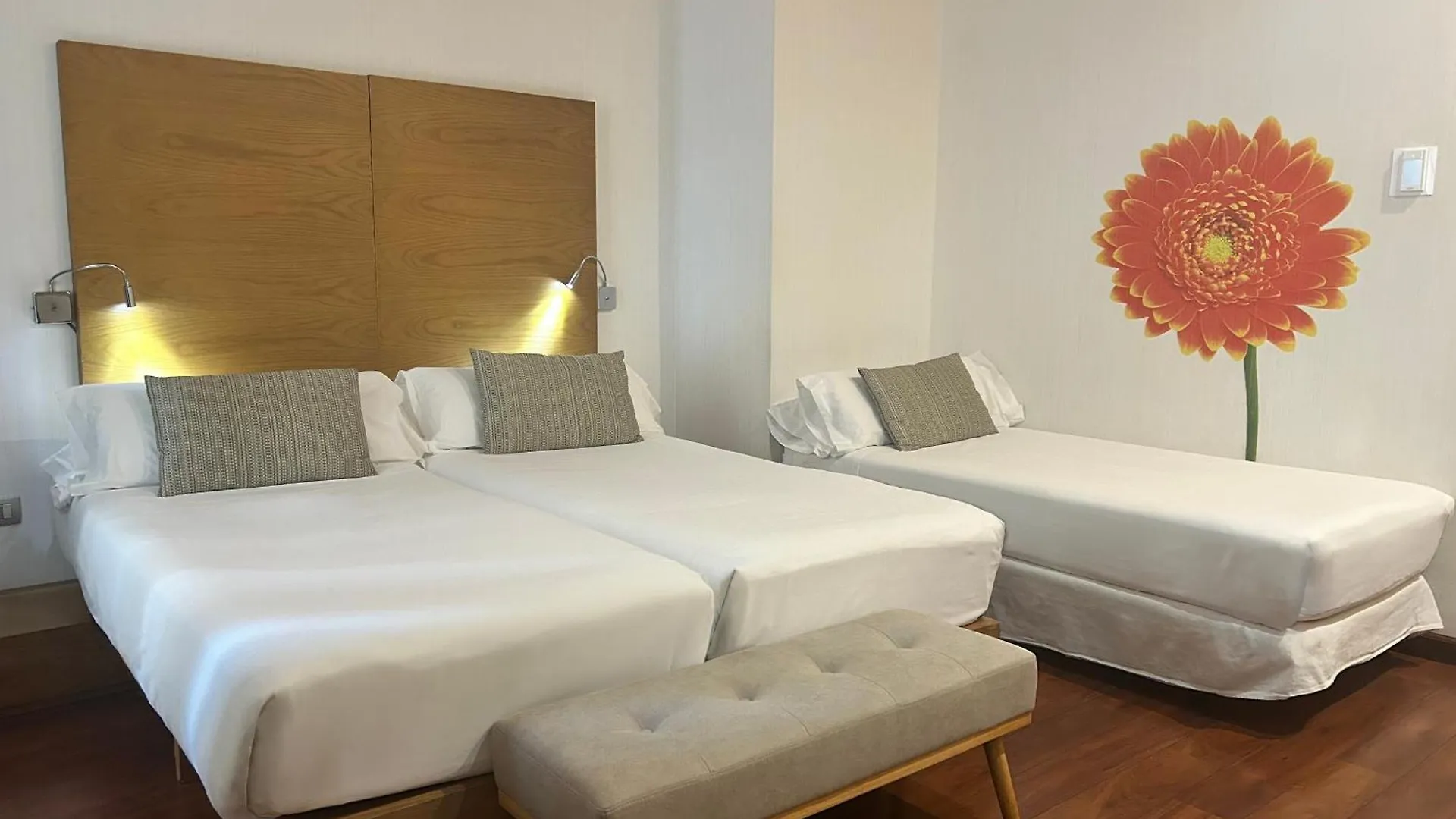 Hotel Petit Palace Plaza Málaga Spagna